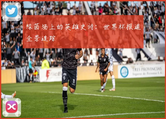 绿茵场上的英雄史诗:世界杯报道全景追踪