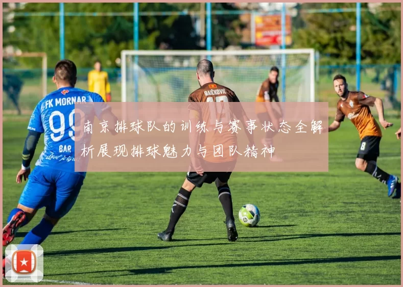 南京排球队的训练与赛事状态全解析展现排球魅力与团队精神