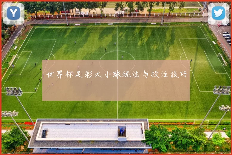 世界杯足彩大小球玩法与投注技巧