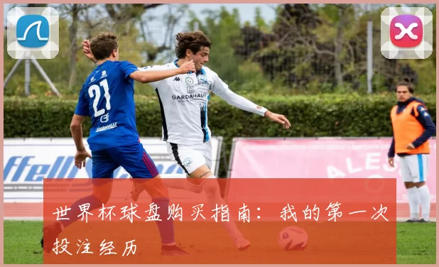 世界杯球盘购买指南：我的第一次投注经历