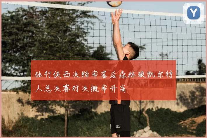 独行侠西决赔率落后森林狼凯尔特人总决赛对决概率升高