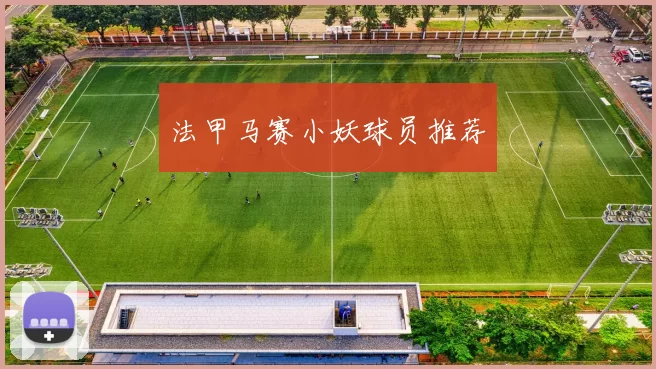 法甲马赛小妖球员推荐