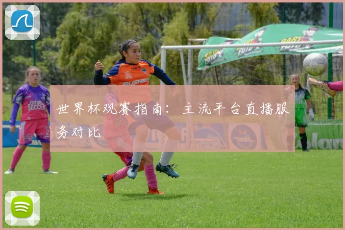 世界杯观赛指南：主流平台直播服务对比