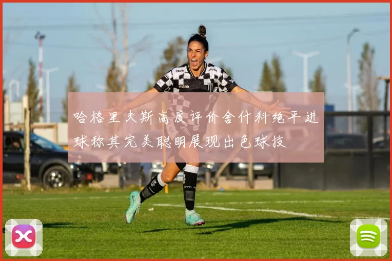 哈格里夫斯高度评价舍什科绝平进球称其完美聪明展现出色球技