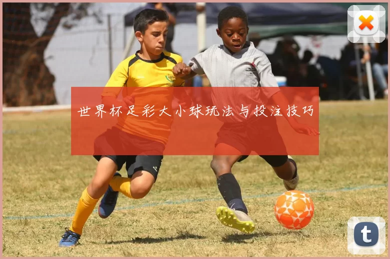 世界杯足彩大小球玩法与投注技巧