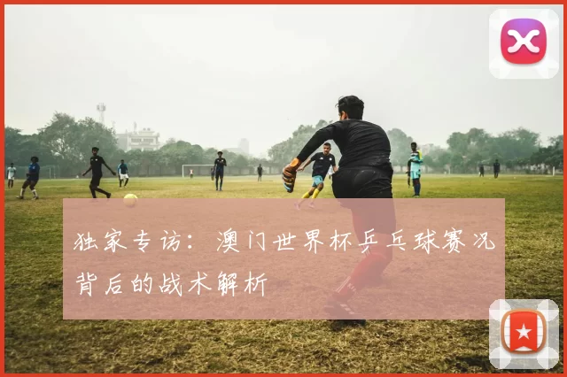 独家专访：澳门世界杯乒乓球赛况背后的战术解析