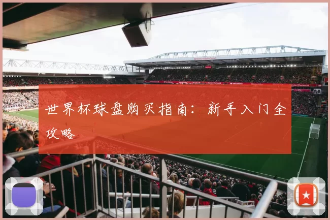 世界杯球盘购买指南：新手入门全攻略