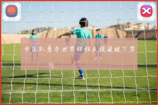 中国队勇夺世界杯相关报道被下架