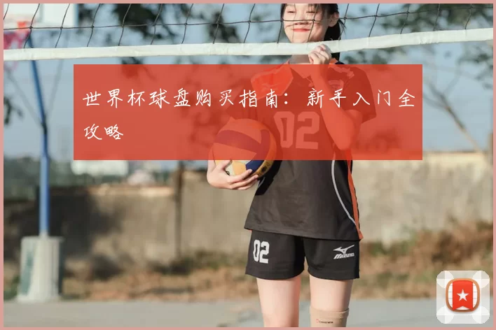 世界杯球盘购买指南：新手入门全攻略