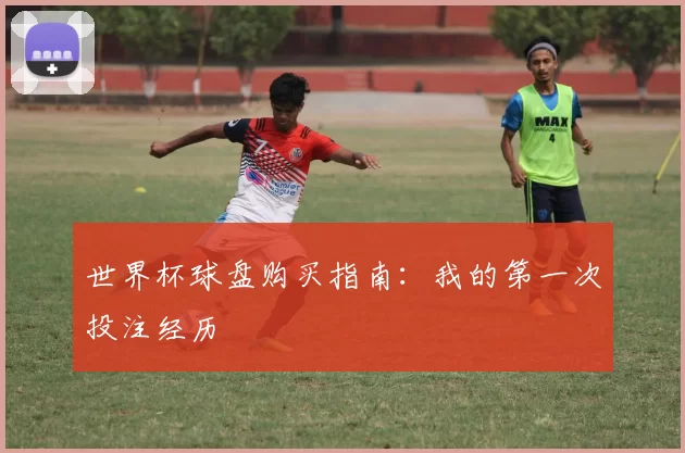 世界杯球盘购买指南:我的第一次投注经历