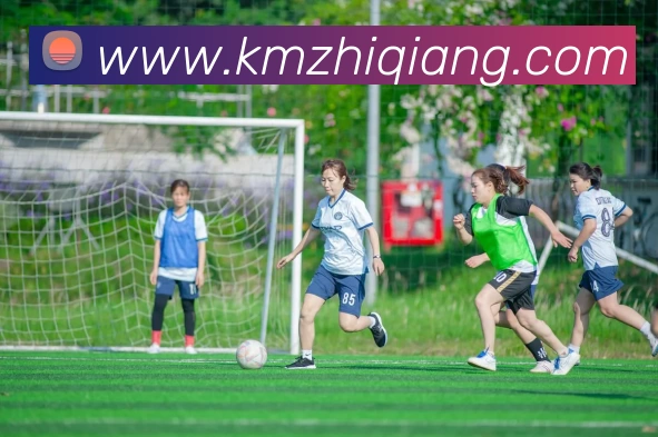 爱游戏官网APP 封面图